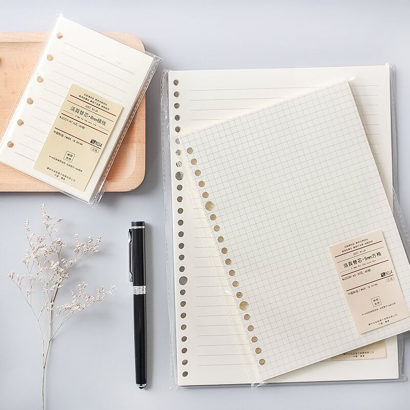 A5 B5, 20 отверстий, сменный б – обзор и цена A5 Spiral Dotted Grid Notebook